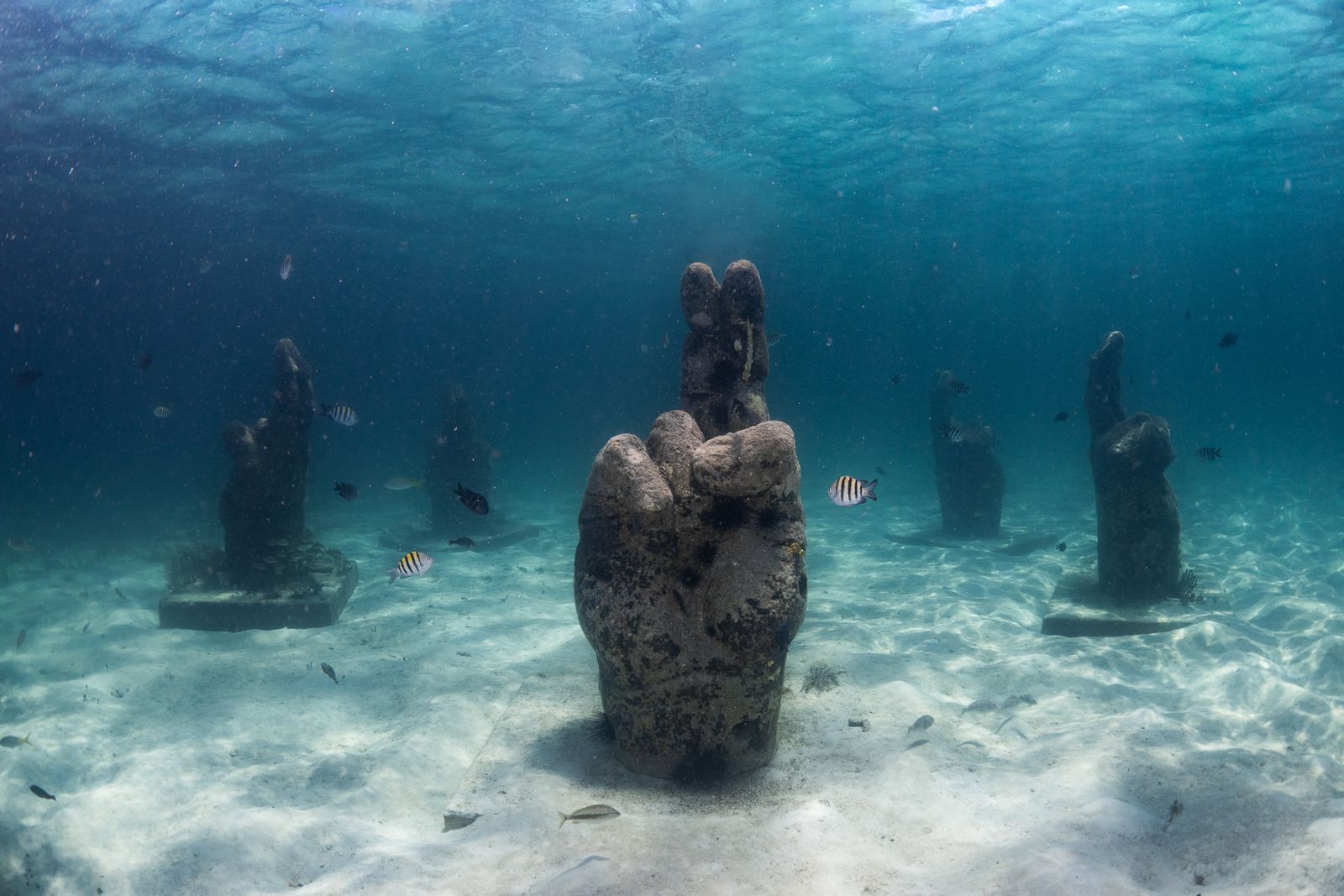 Unveiling the Importance of Cancun’s Reef Restoration – We are ...